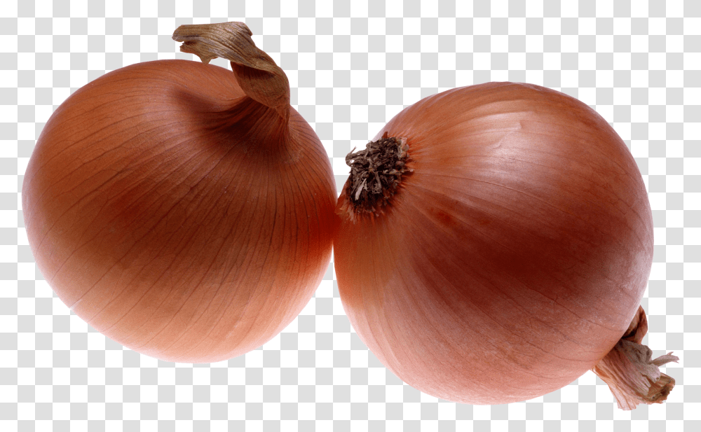 Onion, Vegetable Transparent Png