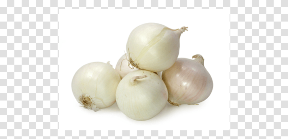 Onion White, Plant, Vegetable, Food, Shallot Transparent Png