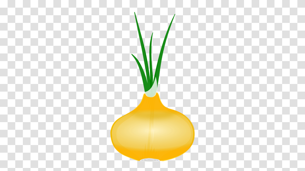 Onion With Its Leaves Vector Clip Art, Plant, Food, Lamp, Vegetable Transparent Png