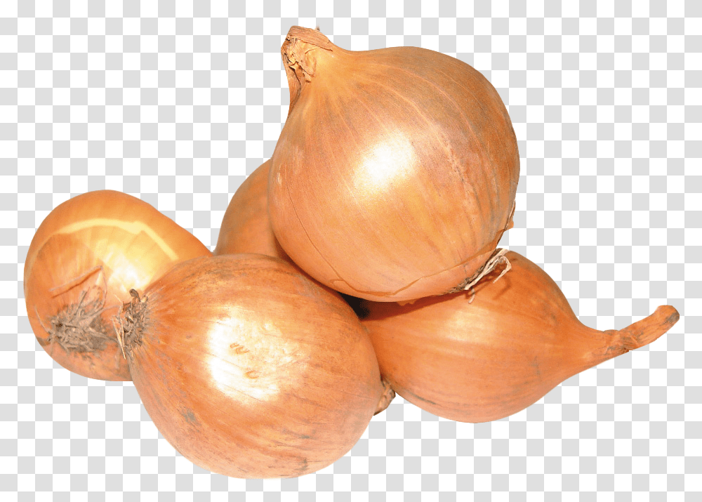 Onion Yellow Onion, Plant, Shallot, Vegetable, Food Transparent Png