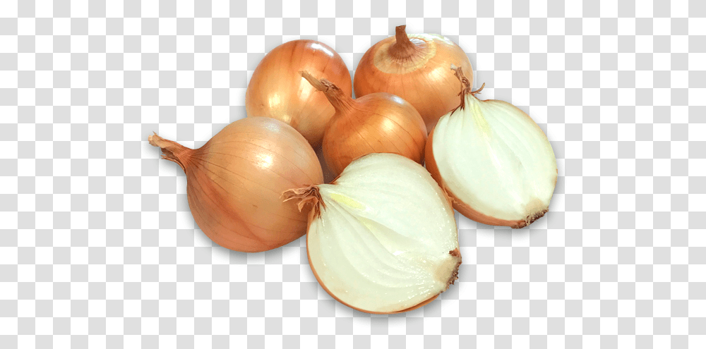 Onions Cebollas, Plant, Egg, Food, Shallot Transparent Png
