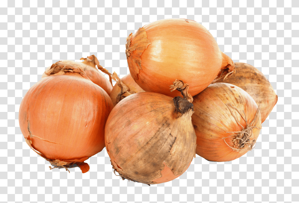 Onions Image, Vegetable, Plant, Shallot, Food Transparent Png