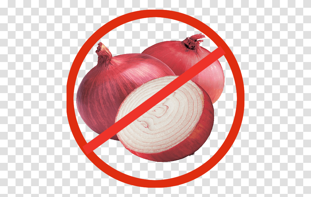 Onions Onion Clip Art, Plant, Shallot, Vegetable, Food Transparent Png