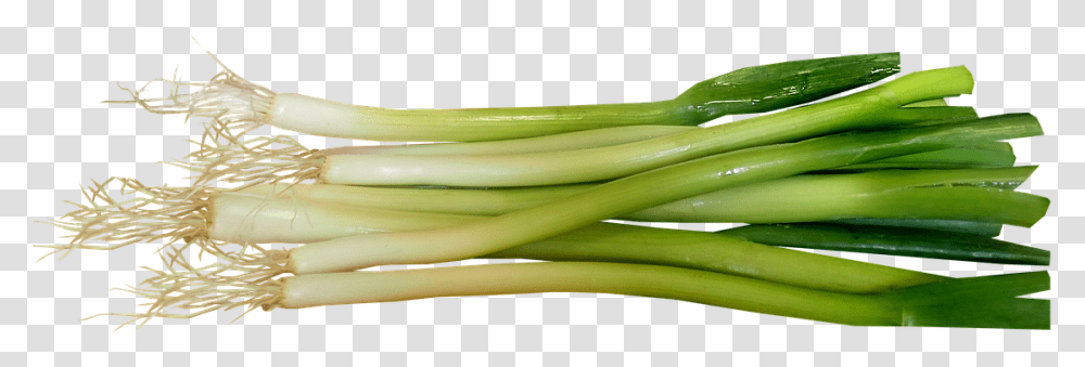 Onions Spring Onions, Plant, Produce, Food, Vegetable Transparent Png