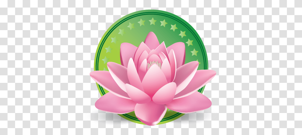 Online 3d Lotus Logo Design Maker Juan Guaid, Plant, Flower, Blossom, Pond Lily Transparent Png