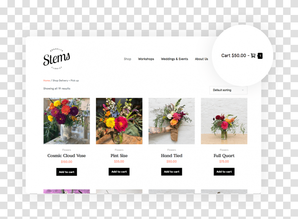 Online Advertising, Plant, Flower Transparent Png