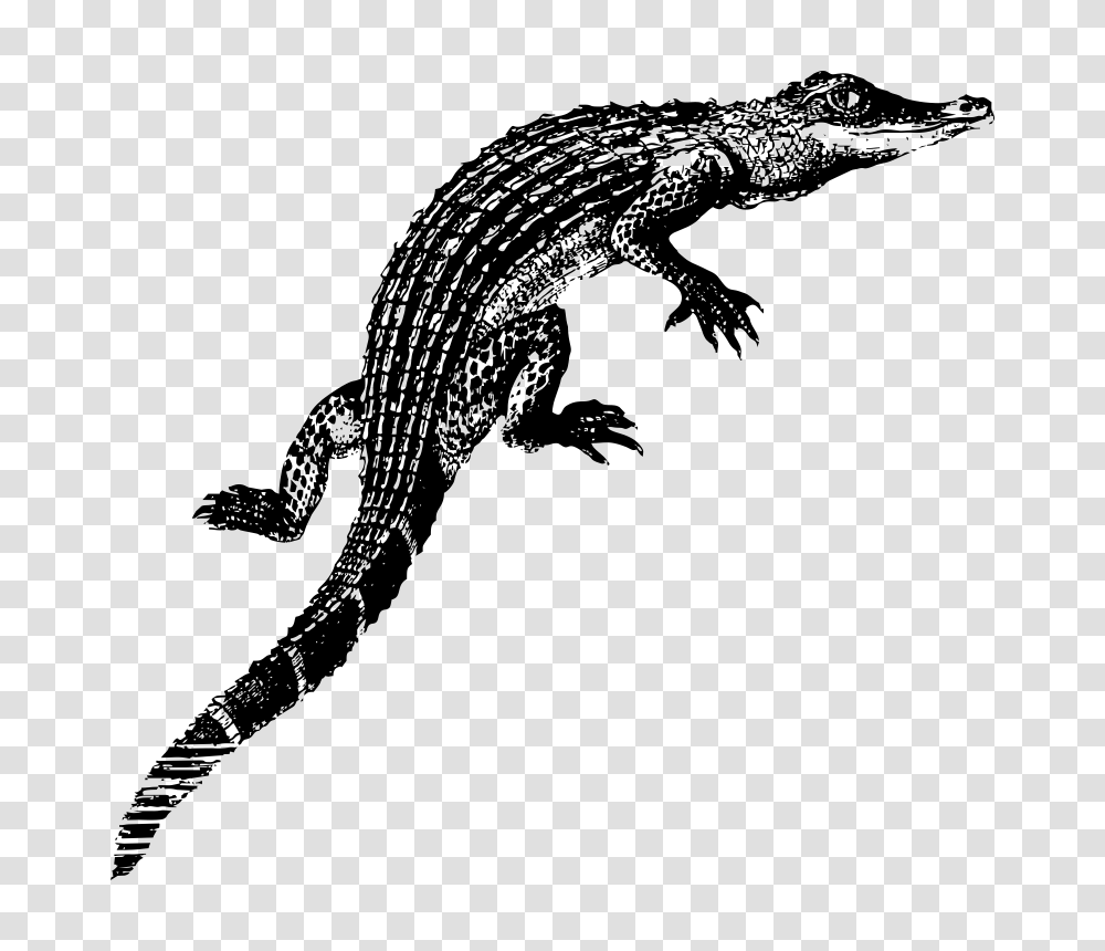 Online Alligator Coloring Pages Printable Kids Colouring Pages, Gray, World Of Warcraft Transparent Png