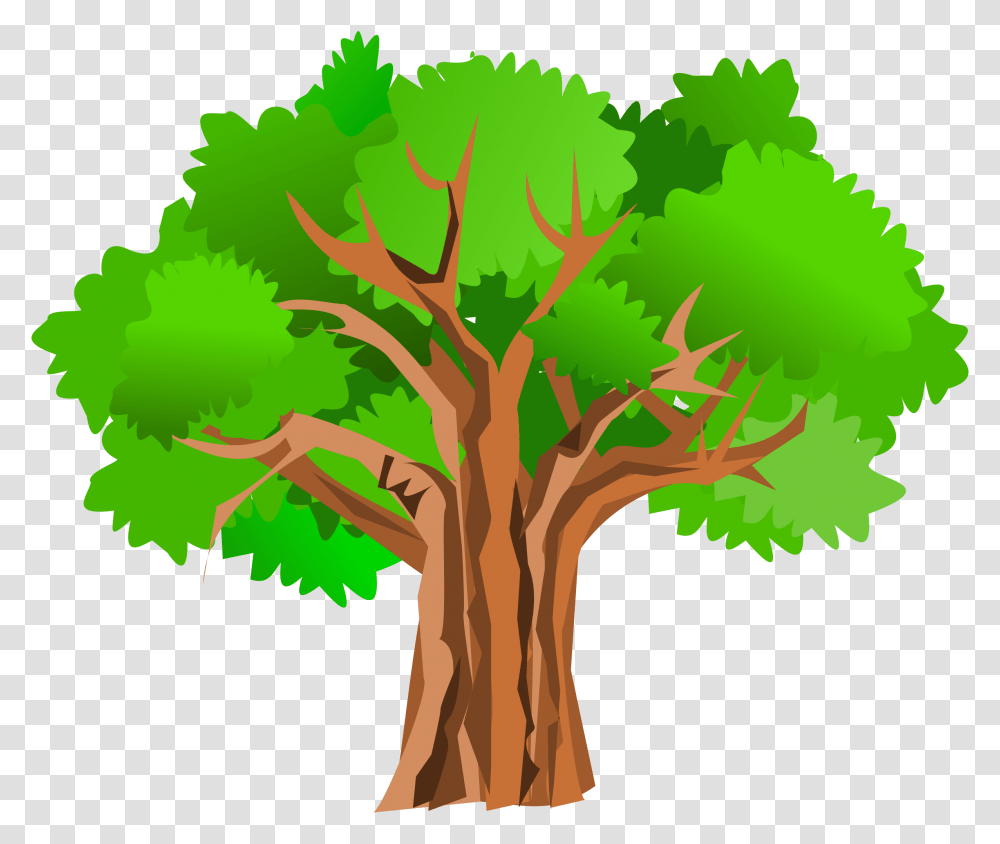 Online Classes Archives, Tree, Plant, Oak, Leaf Transparent Png