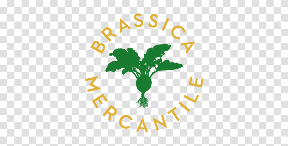 Online Homewares Brassica Mercantile, Poster, Advertisement, Plant Transparent Png