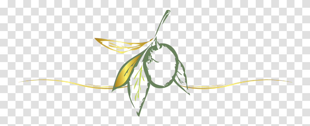 Online Olive Logo Design Free Food Logo Maker Olive, Text, Plant, Art, Graphics Transparent Png