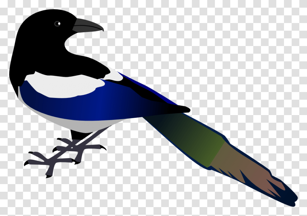 Onlinelabels Clip Art, Animal, Bird, Magpie, Beak Transparent Png