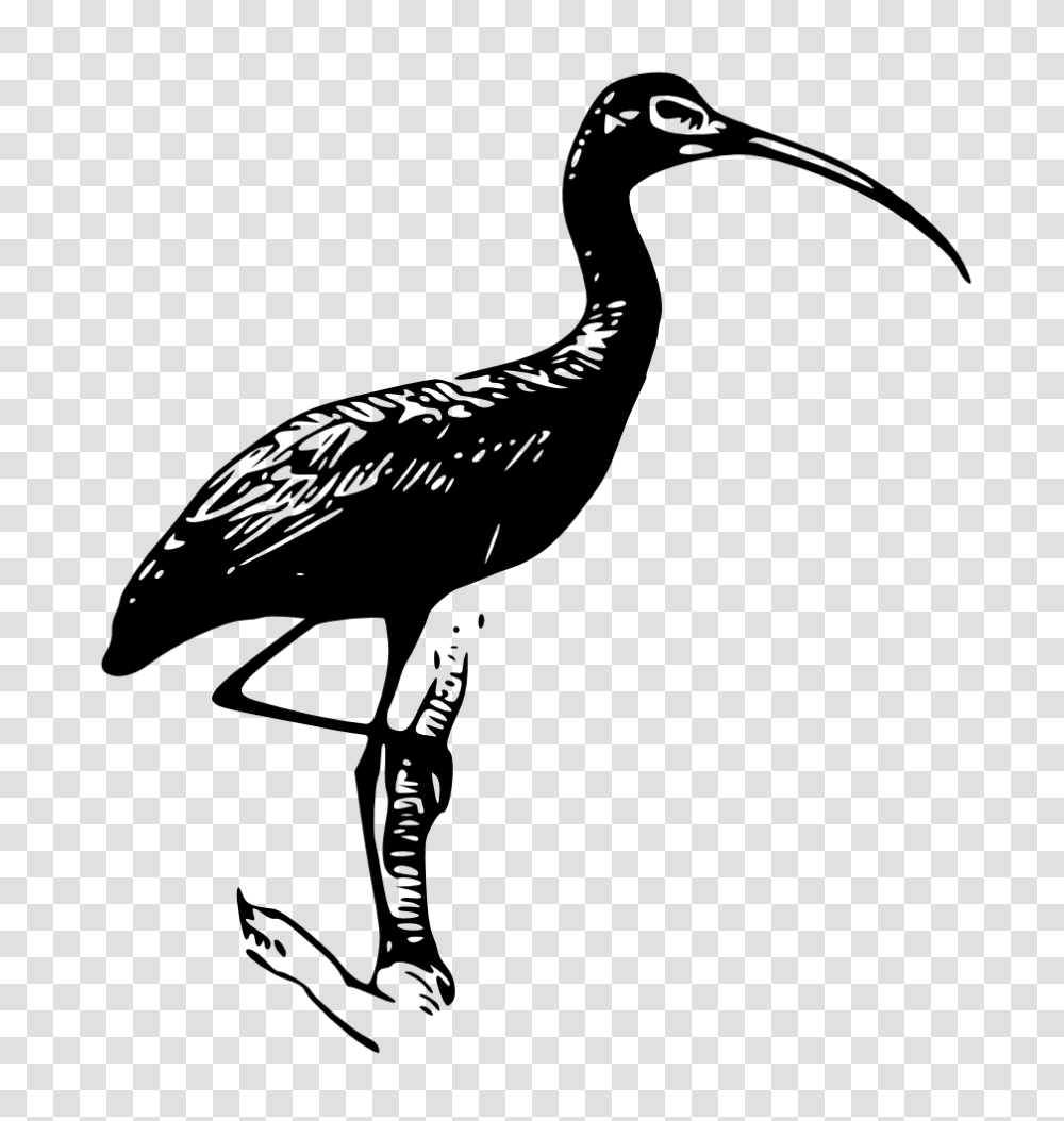Onlinelabels Clip Art, Bird, Animal, Crane Bird, Stork Transparent Png