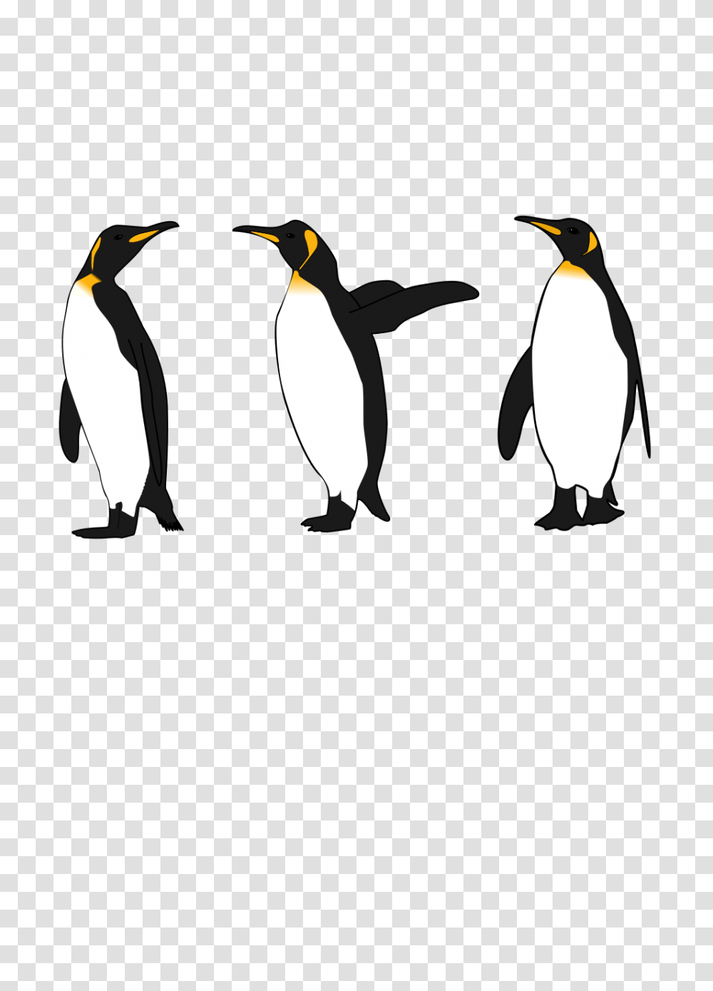 Onlinelabels Clip Art, Bird, Animal, King Penguin Transparent Png