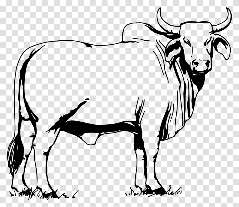 Onlinelabels Clip Art, Bull, Mammal, Animal, Cattle Transparent Png