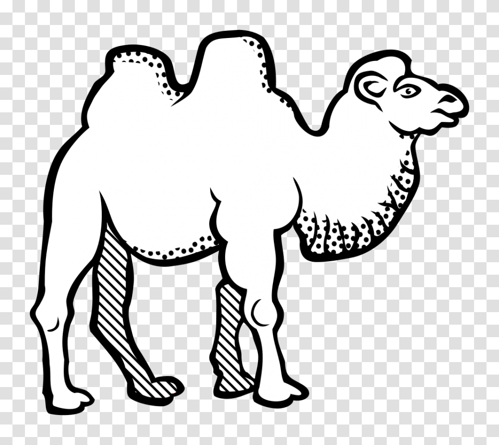 Onlinelabels Clip Art, Camel, Mammal, Animal, Horse Transparent Png