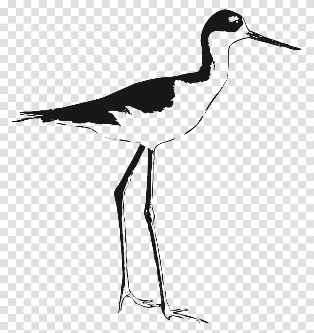 Onlinelabels Clip Art, Crane Bird, Animal, Waterfowl, Bow Transparent Png