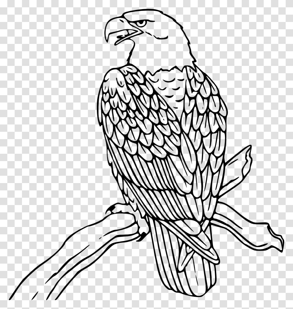 Onlinelabels Clip Art, Eagle, Bird, Animal, Vulture Transparent Png