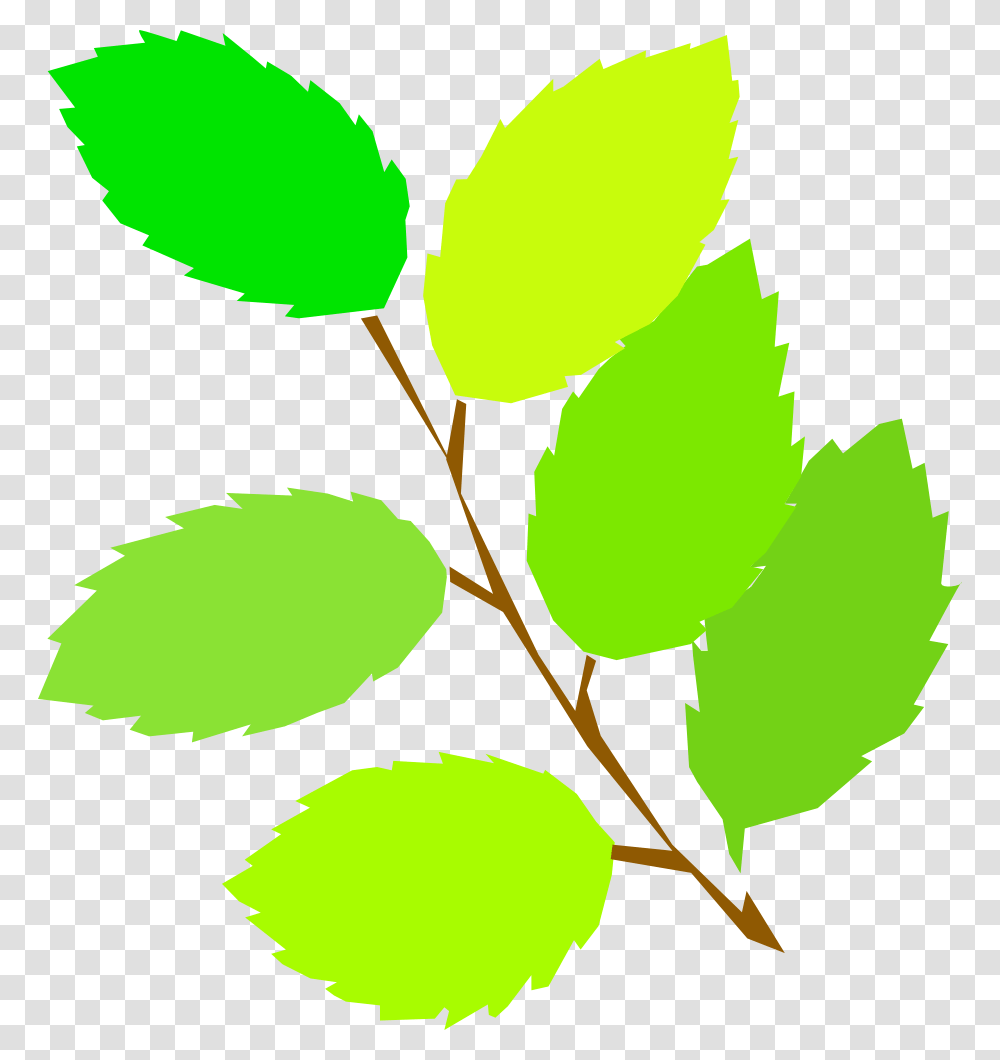 Onlinelabels Clip Art, Green, Leaf, Plant, Veins Transparent Png
