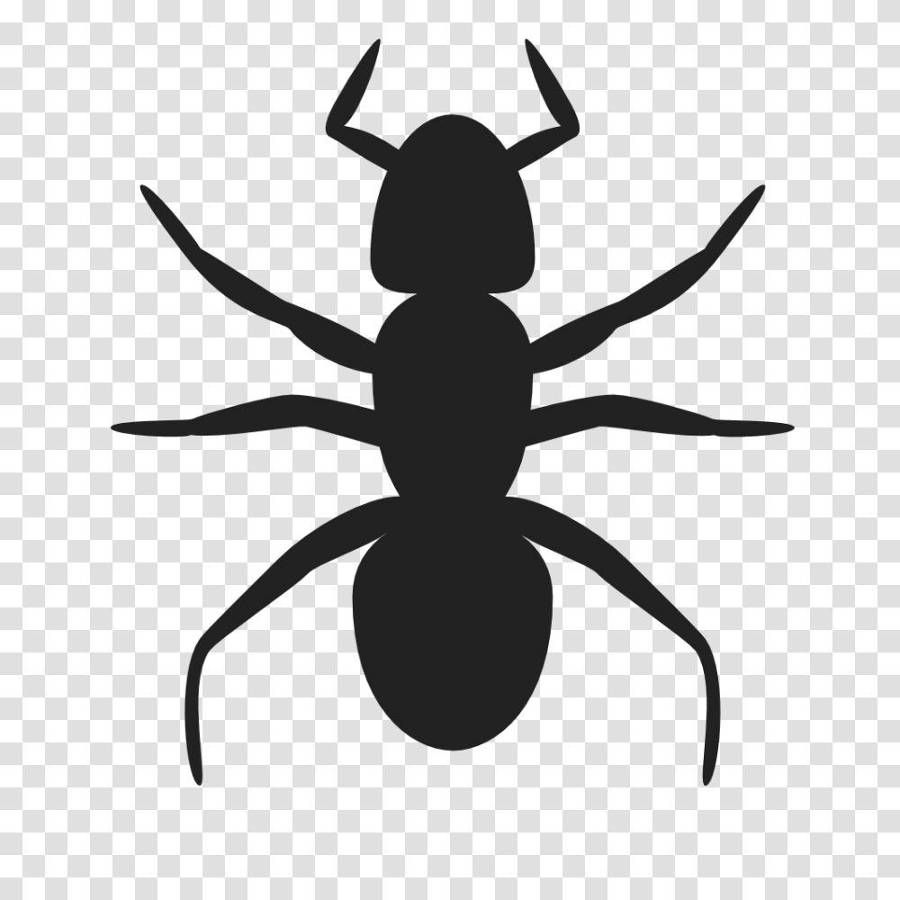 Onlinelabels Clip Art, Invertebrate, Animal, Insect, Ant Transparent Png