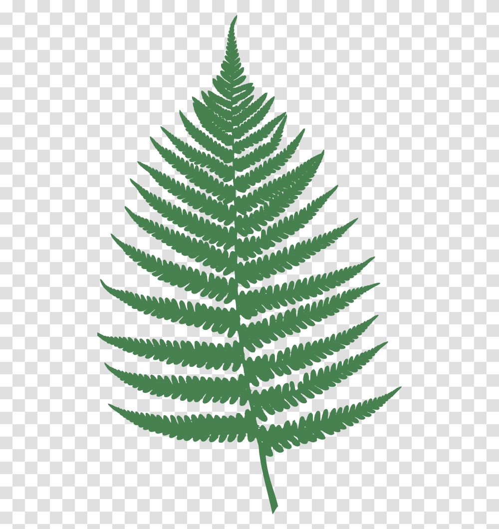 Onlinelabels Clip Art Leaf Fern Clipart, Plant, Green, Christmas Tree, Ornament Transparent Png