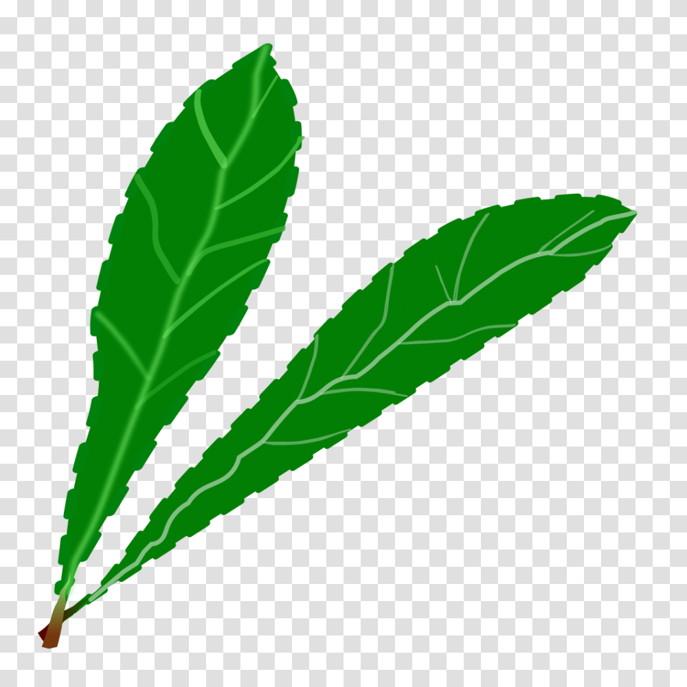 Onlinelabels Clip Art, Leaf, Plant, Green, Hemp Transparent Png