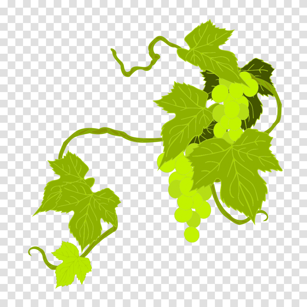 Onlinelabels Clip Art, Leaf, Plant, Vine, Tree Transparent Png