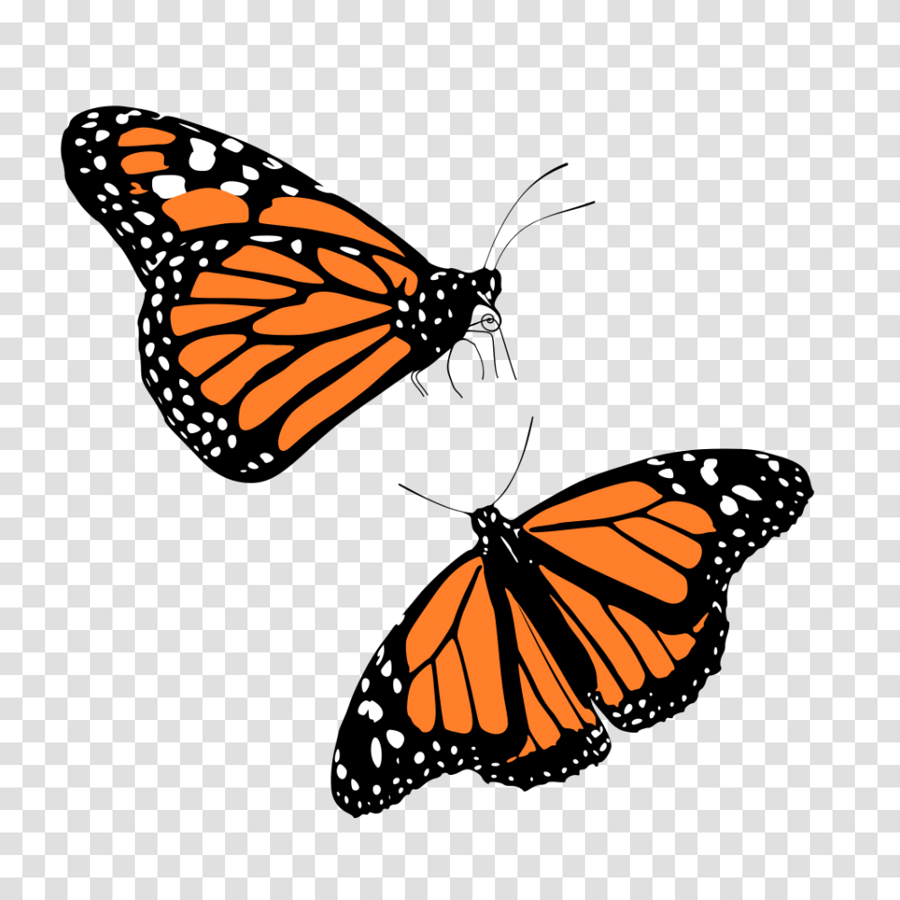 Onlinelabels Clip Art, Monarch, Butterfly, Insect, Invertebrate Transparent Png