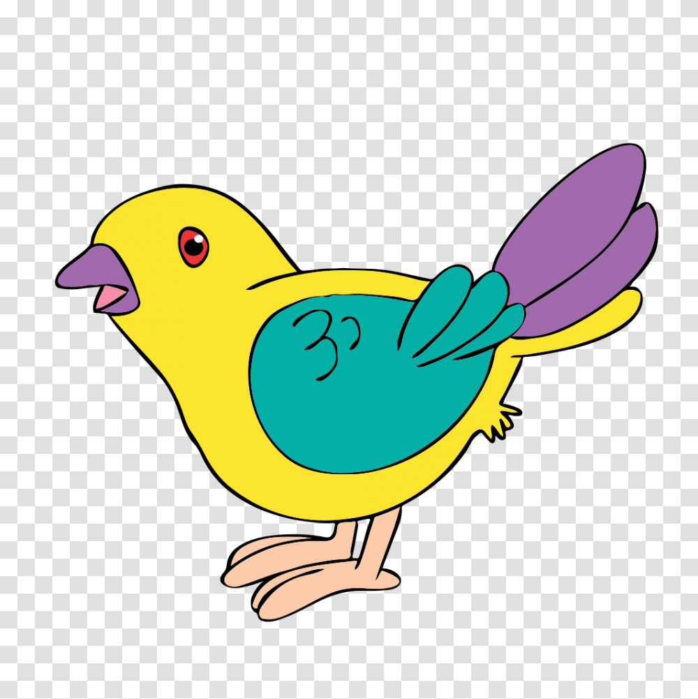 Onlinelabels Clip Art Pigeon Detailed, Jay, Bird, Animal, Finch Transparent Png