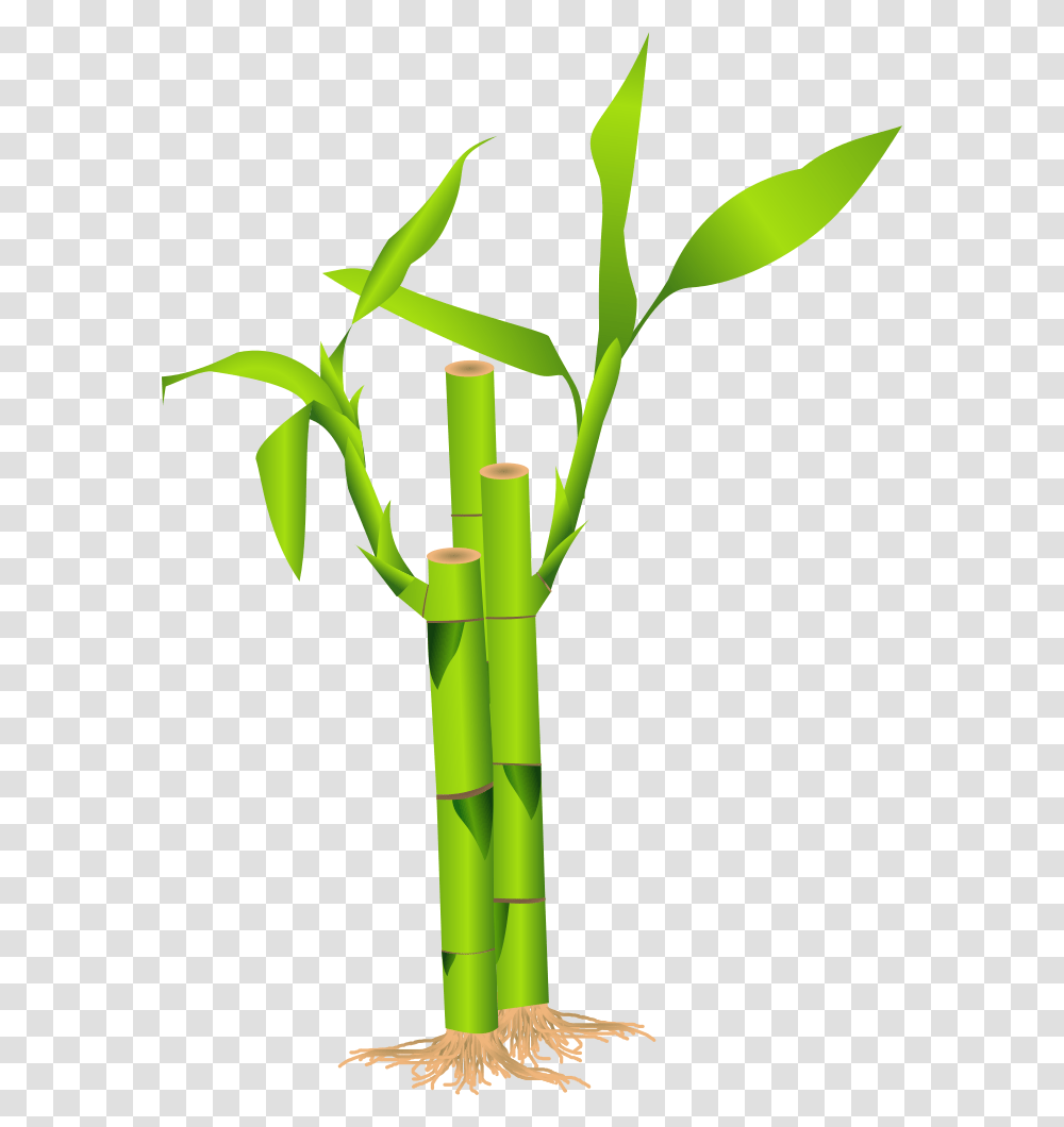 Onlinelabels Clip Art, Plant, Bamboo Transparent Png
