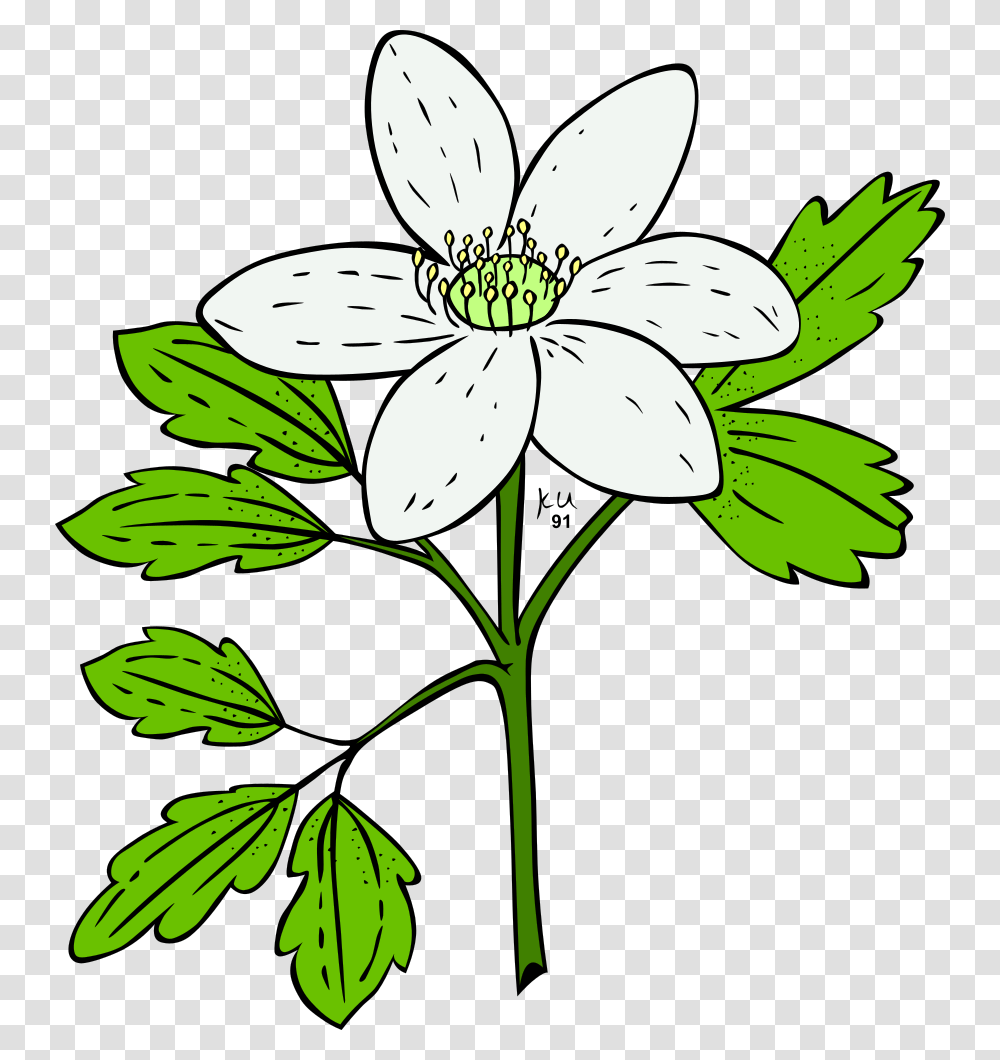 Onlinelabels Clip Art, Plant, Flower, Blossom, Lily Transparent Png