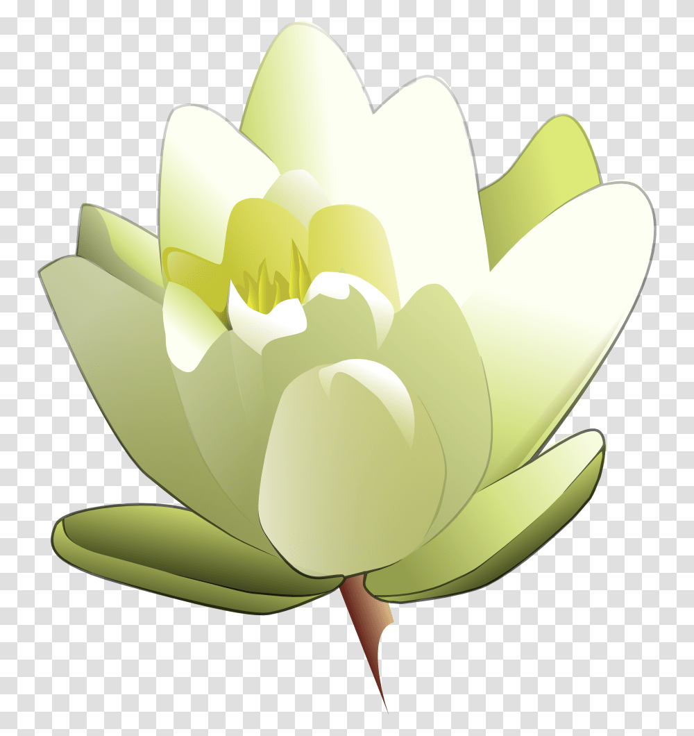 Onlinelabels Clip Art, Plant, Flower, Blossom, Lily Transparent Png