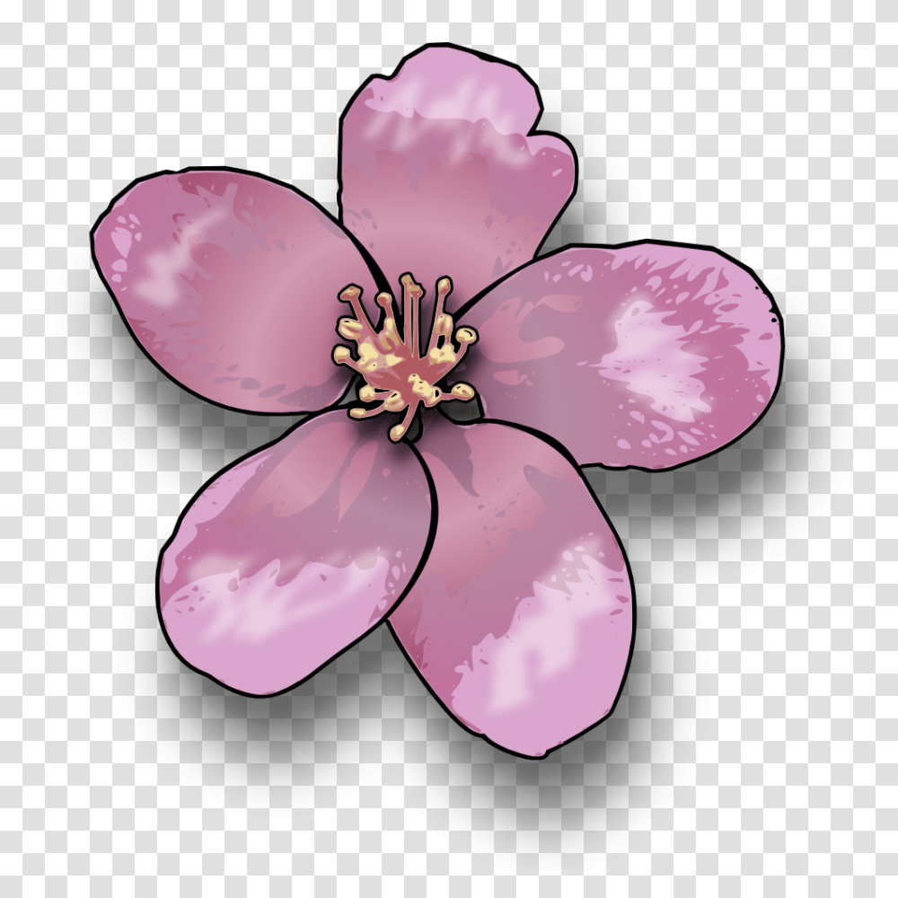 Onlinelabels Clip Art, Plant, Flower, Blossom, Petal Transparent Png