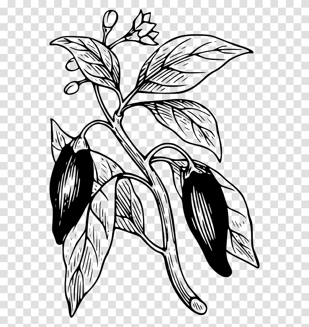 Onlinelabels Clip Art, Plant, Flower, Leaf, Food Transparent Png