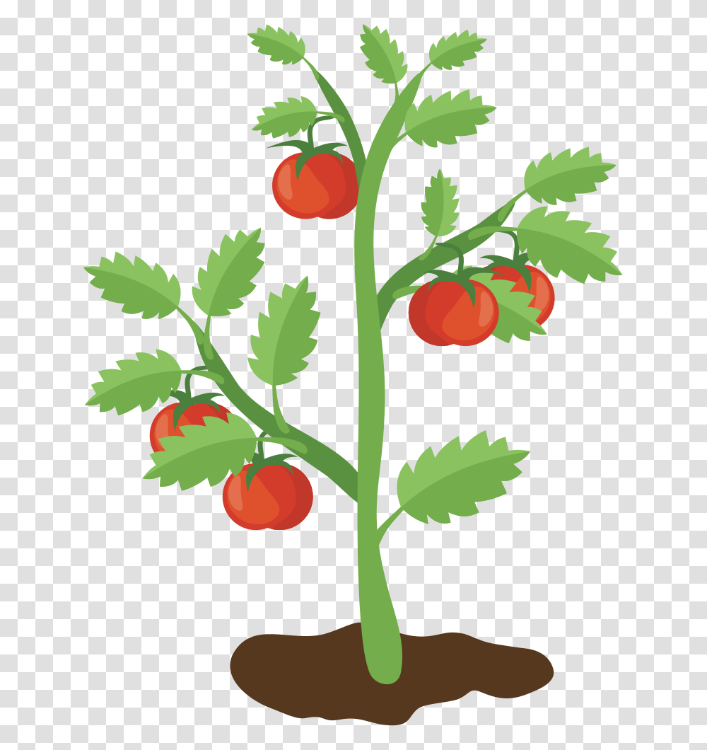 Onlinelabels Clip Art, Plant, Fruit, Food, Tree Transparent Png