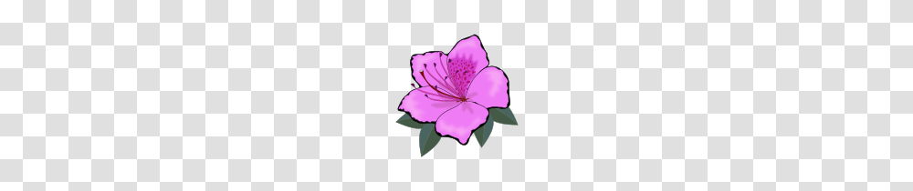 Onlinelabels Clip Art, Plant, Geranium, Flower, Blossom Transparent Png