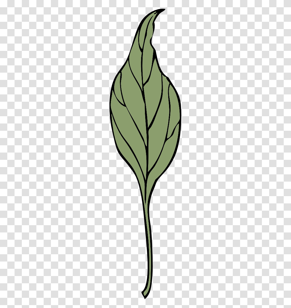 Onlinelabels Clip Art, Plant, Produce, Food, Vegetable Transparent Png