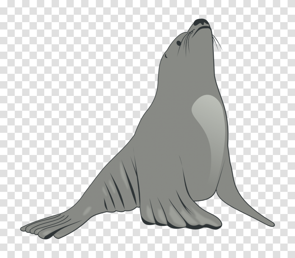 Onlinelabels Clip Art, Sea Lion, Mammal, Sea Life, Animal Transparent Png