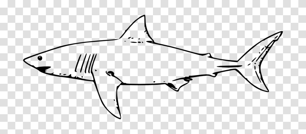 Onlinelabels Clip Art, Shark, Sea Life, Fish, Animal Transparent Png