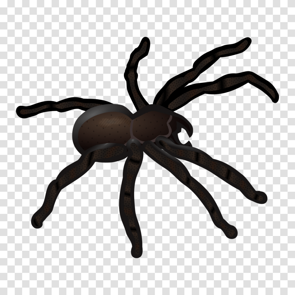 Onlinelabels Clip Art, Spider, Invertebrate, Animal, Arachnid Transparent Png