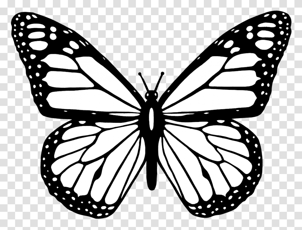 Onlinelabels Clip Art, Stencil, Insect, Invertebrate, Animal Transparent Png