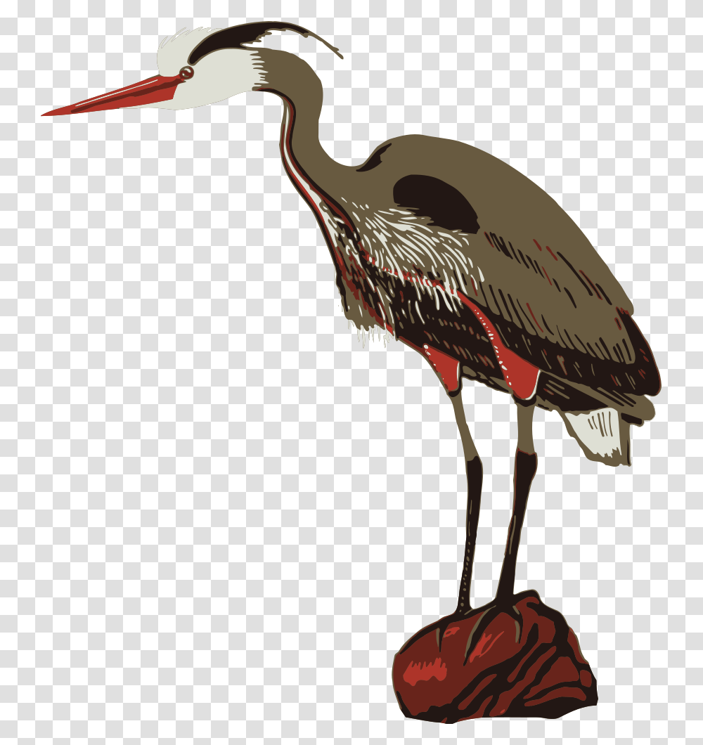 Onlinelabels Clip Art, Stork, Bird, Animal, Waterfowl Transparent Png