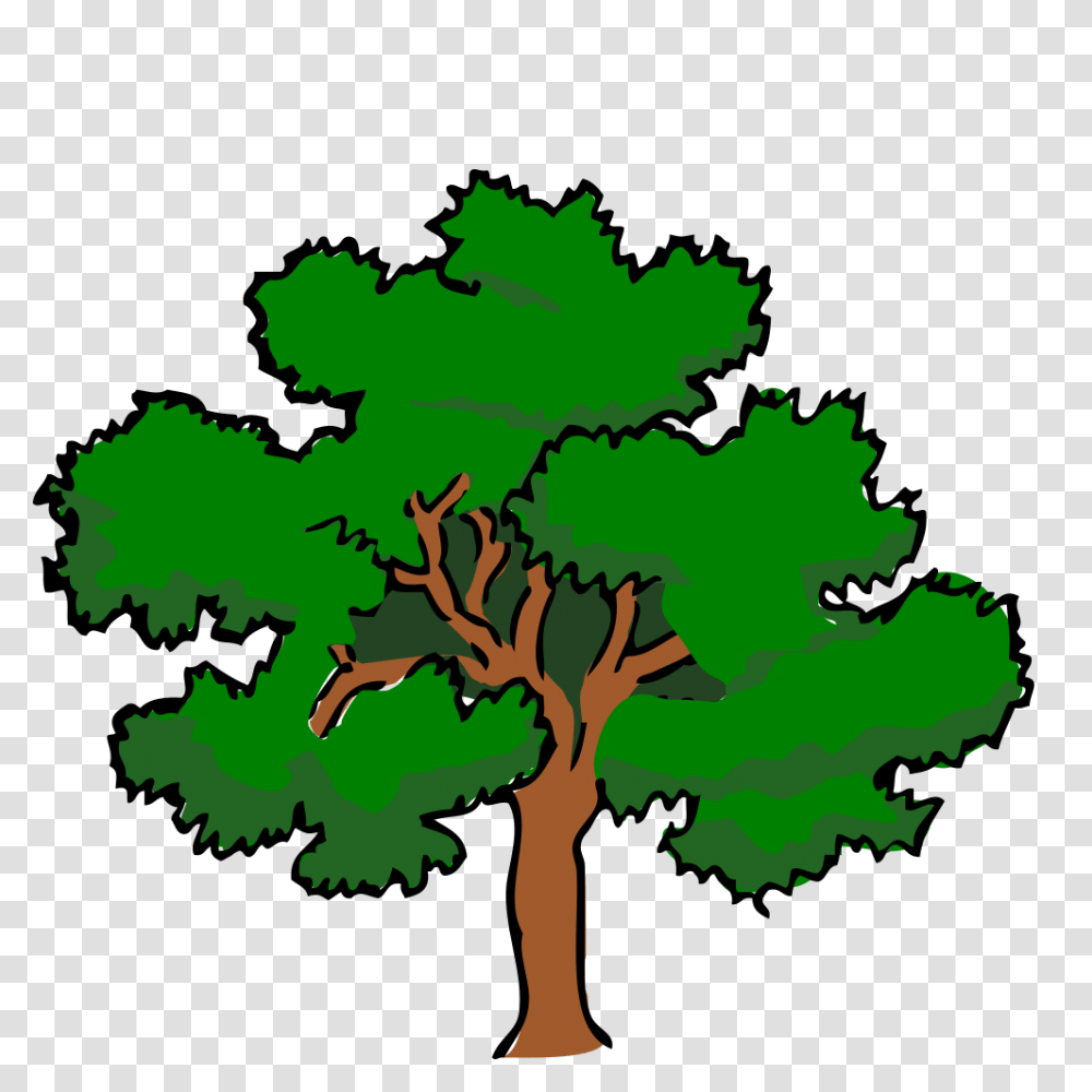 Onlinelabels Clip Art, Tree, Plant, Green, Oak Transparent Png