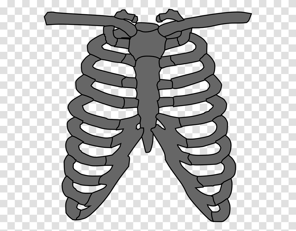 Onlinelabels Clip Art, Wasp, Bee, Insect, Invertebrate Transparent Png