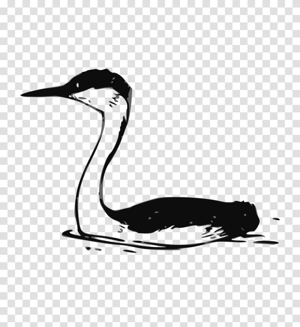 Onlinelabels Clip Art, Waterfowl, Bird, Animal, Anseriformes Transparent Png
