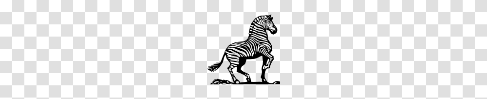 Onlinelabels Clip Art, Zebra, Wildlife, Mammal, Animal Transparent Png