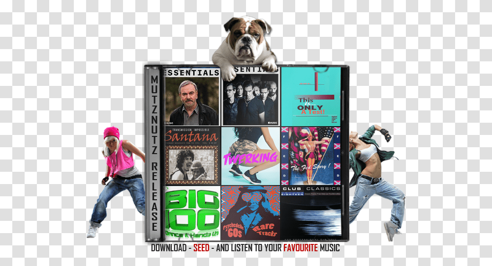 Onload Ncodeimageresizer Mutznutz Music Pack, Person, Dog, Pet, Canine Transparent Png