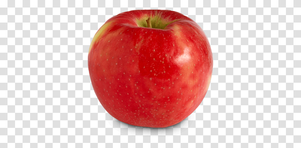 Ontario Apple Growers Honey Crisp Apple, Fruit, Plant, Food, Vegetable Transparent Png