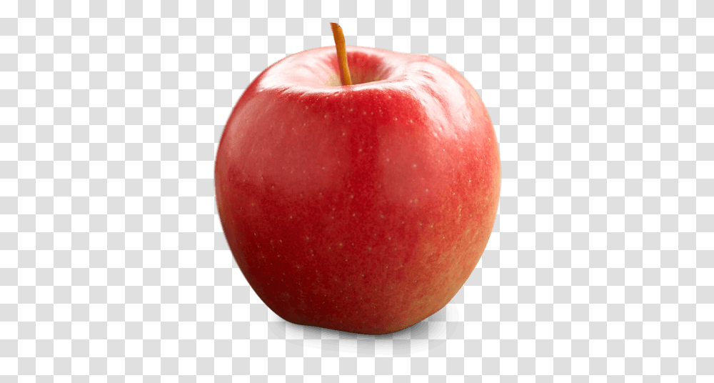 Ontario Apple Growers Types Of Apples In Ontario, Fruit, Plant, Food Transparent Png