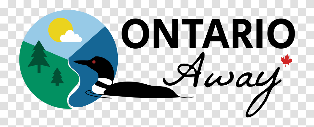 Ontario Away Loon, Bird, Animal, Face, Light Transparent Png