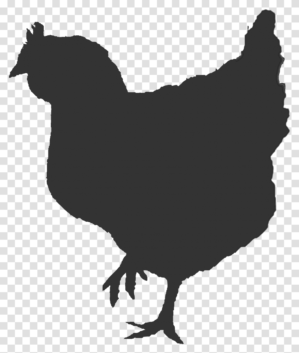 Ontario Broiler Chicken Hatching Egg Producers Association Broiler Chicken Vector, Animal, Bird, Person, Human Transparent Png